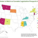 Several States Could Legalize Cannabis Sales in 2020 as Marijuana Industry Eyes Lucrative East Coast Market