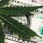SAFE Banking in Stimulus Could Put Cannabis Industry on Steroids