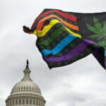 Live Results for 2020’s Marijuana Legalization Ballot Measures